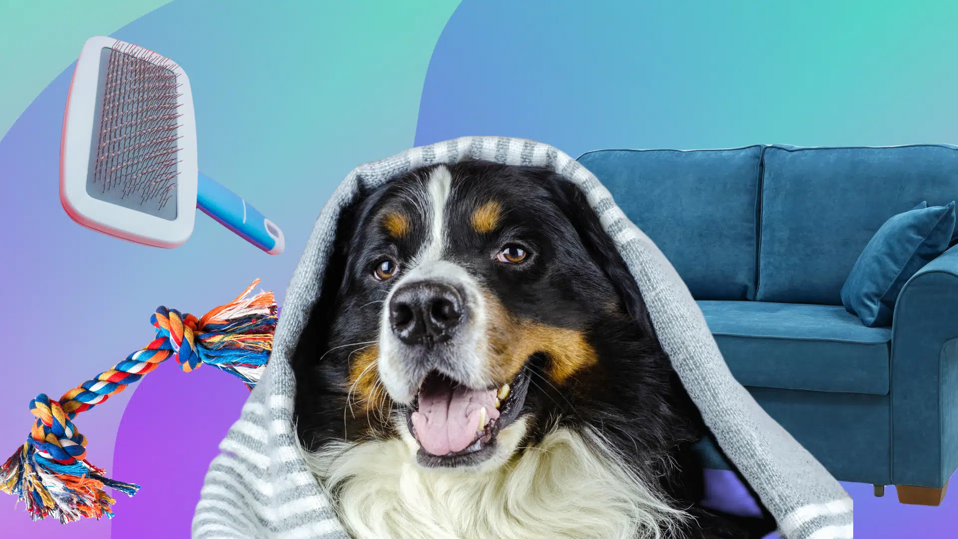 Как жить с большой собакой в квартире: истории и лайфхаки - Дом и уют -  Журнал Домклик