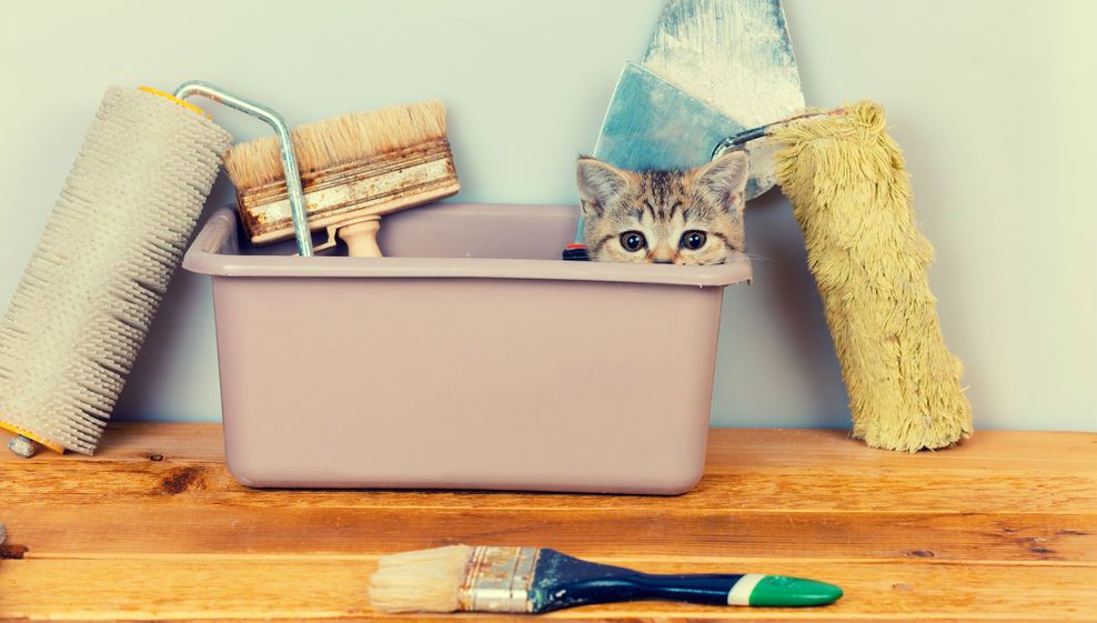 Кот ремонт. Котенок делает ремонт. Котик делает ремонт. Котик делает ремонт квартиры. Открытка котята делают ремонт.