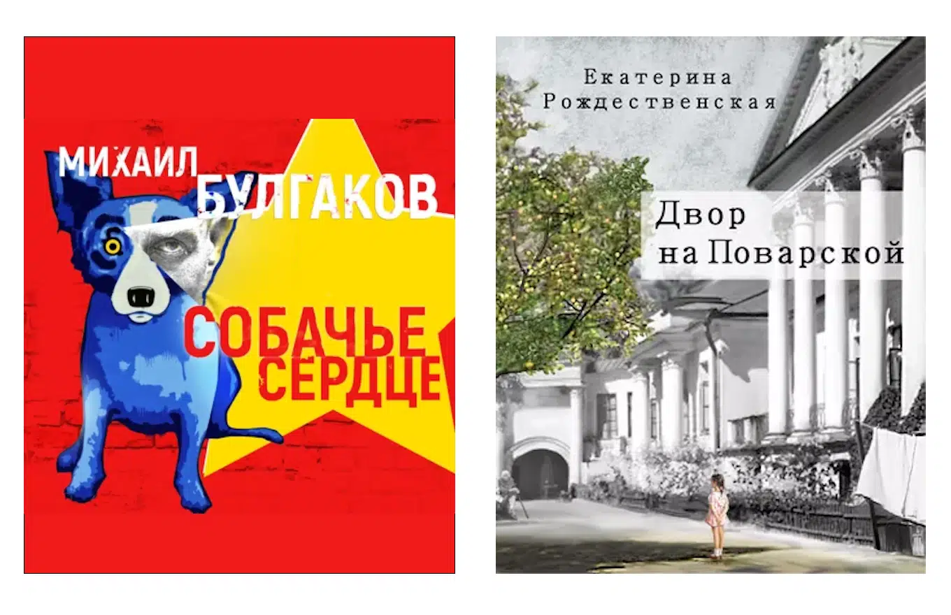 Что читать на новогодних праздниках: 10 увлекательных книг - Дом и уют -  Журнал Домклик