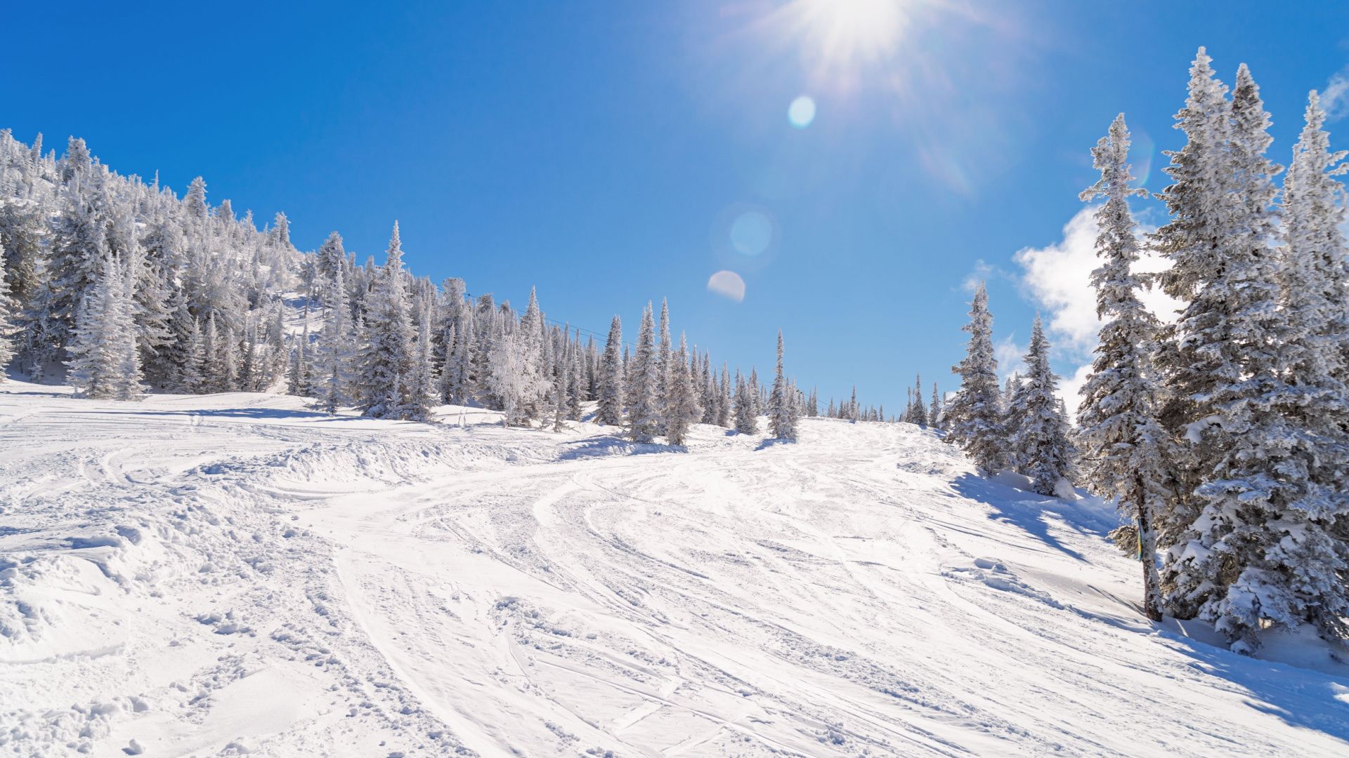 Исследование: сколько стоит загородный дом рядом с горнолыжными ...