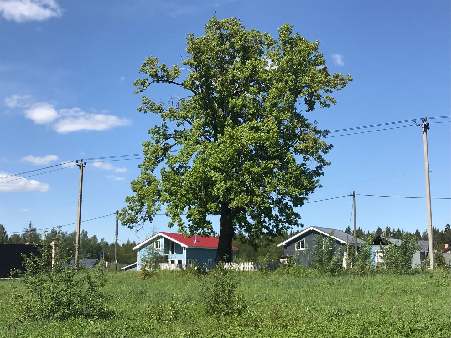 Купить Участок Дубки Саратов