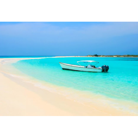 Светлана Полищук