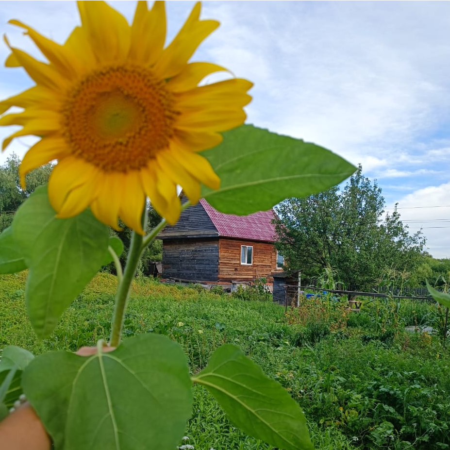 Оксана Андрейченко