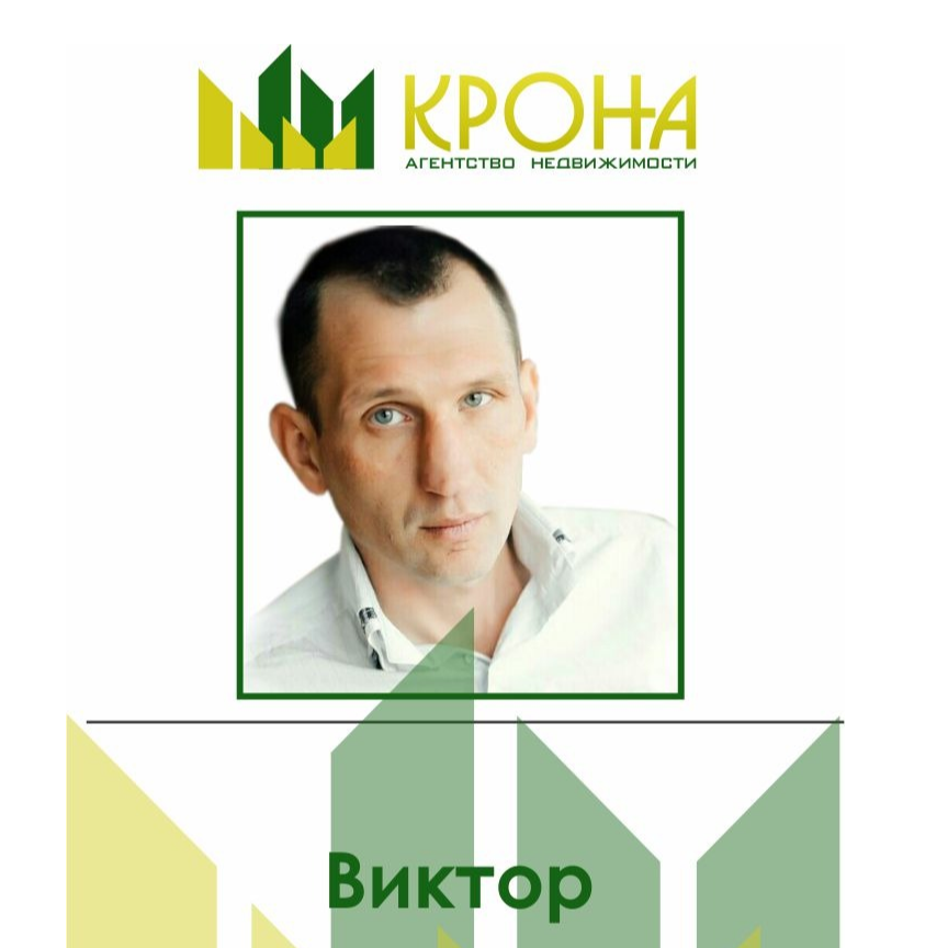 Виктор Чудин