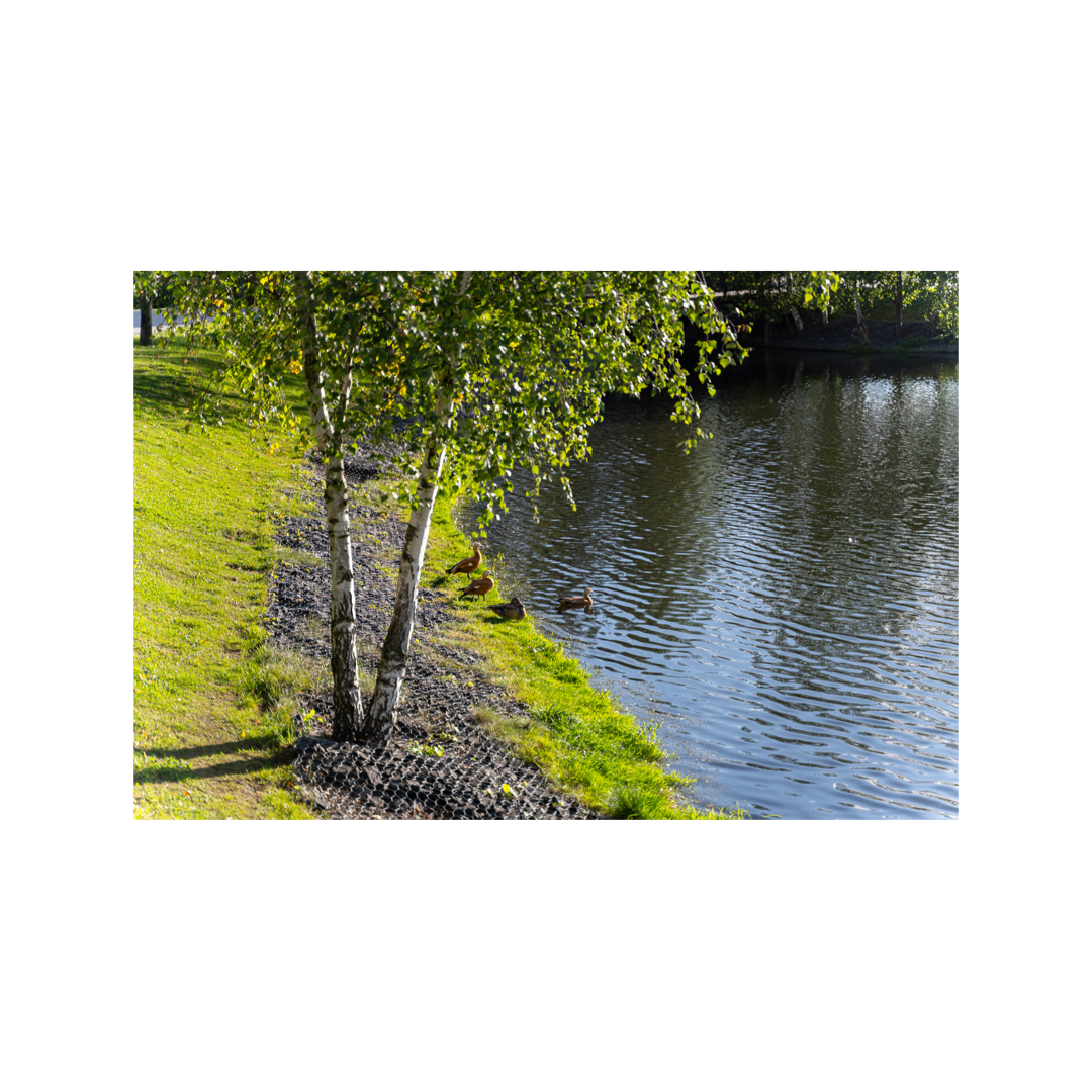 Арина Секачёва