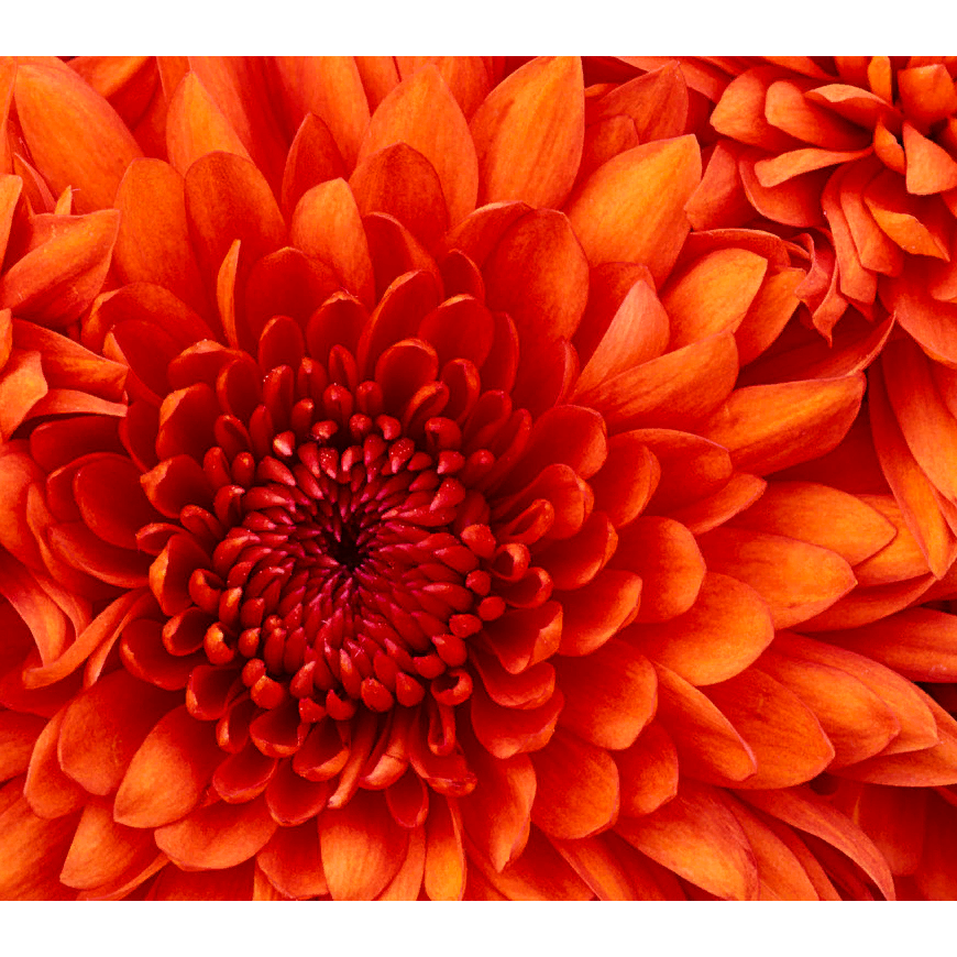 Инна Игнатьева