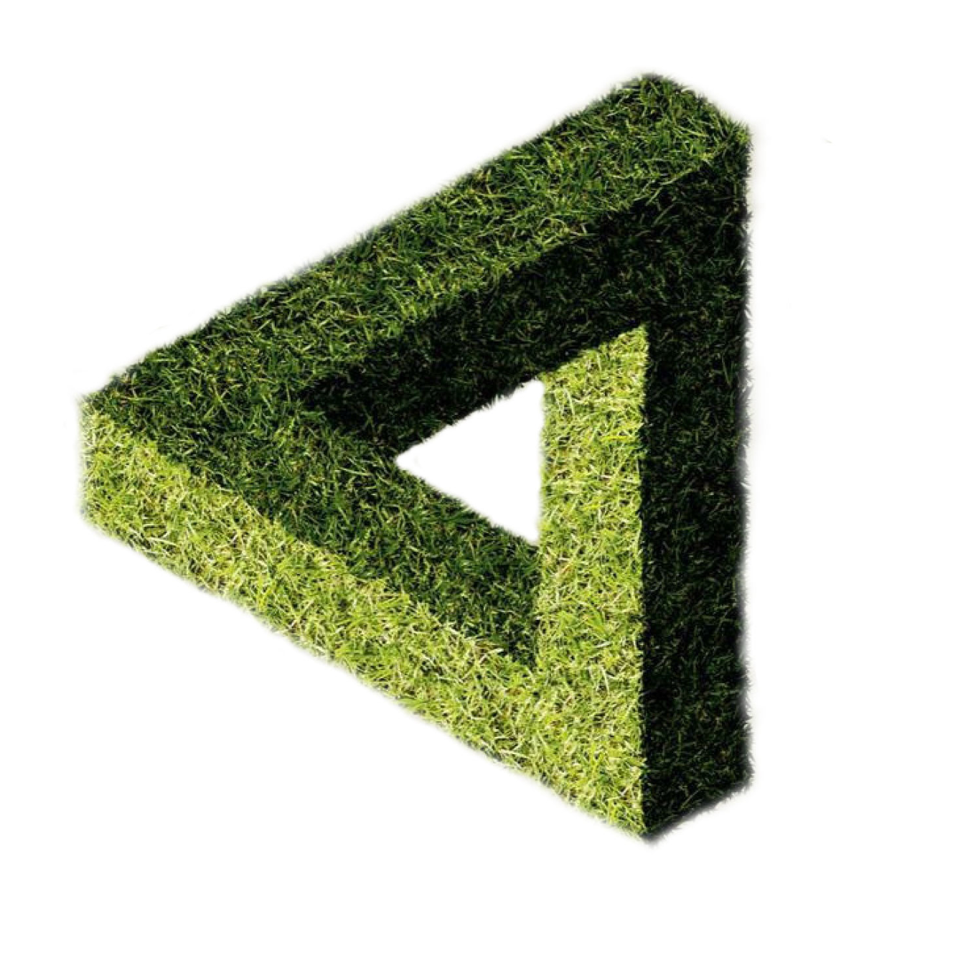 Сергей Гнутов