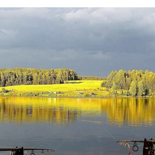 Светлана Завадская