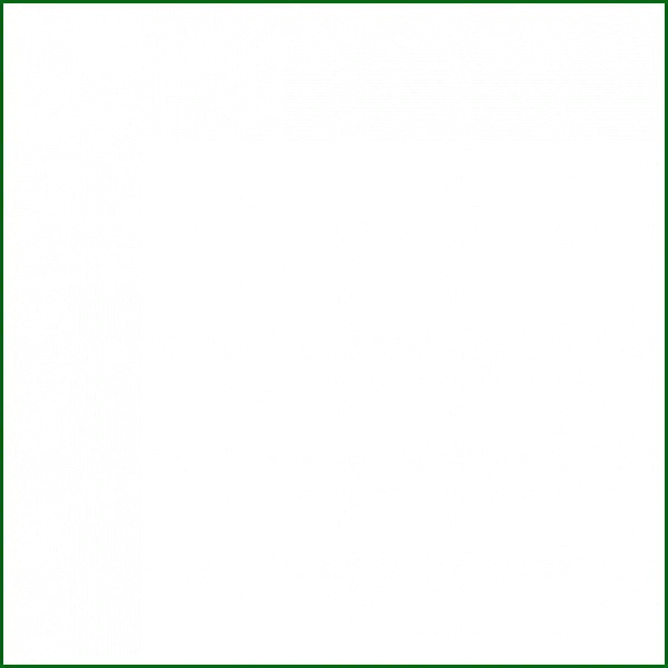 Елена Лобанова