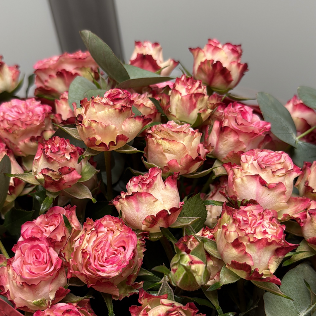 Дарья Бобкова