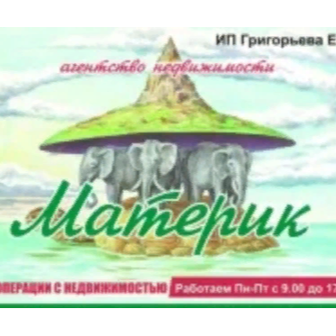 Алёна Друзина