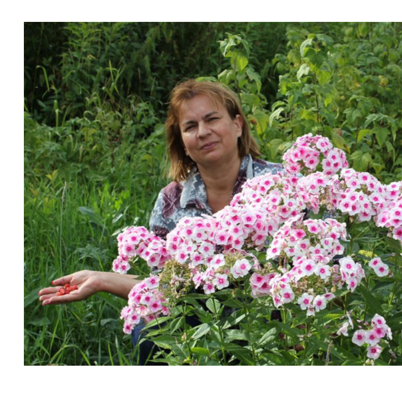 Елена Гашкеева