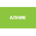 Ирина Нескородева