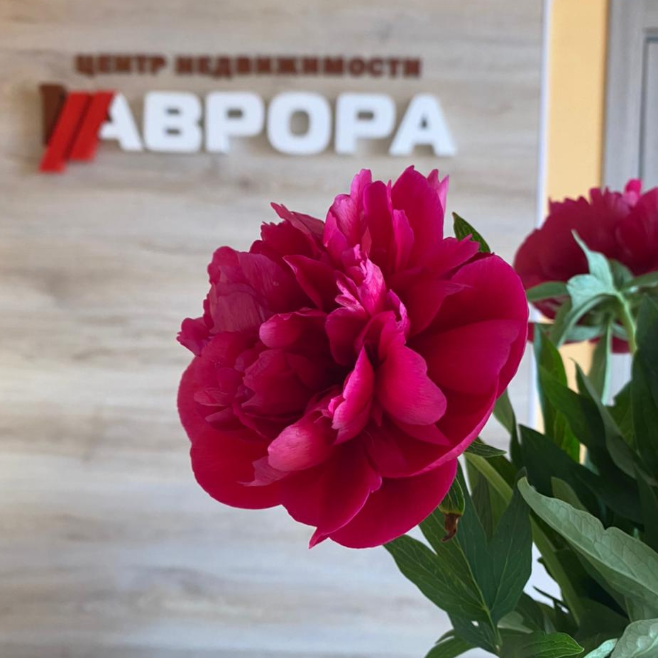 Светлана Григоренко