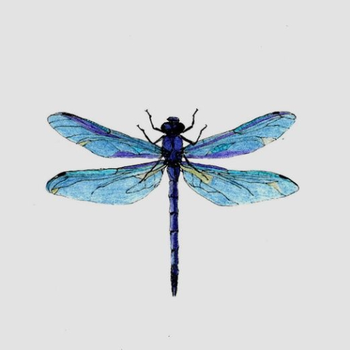 Людмила Нестерова