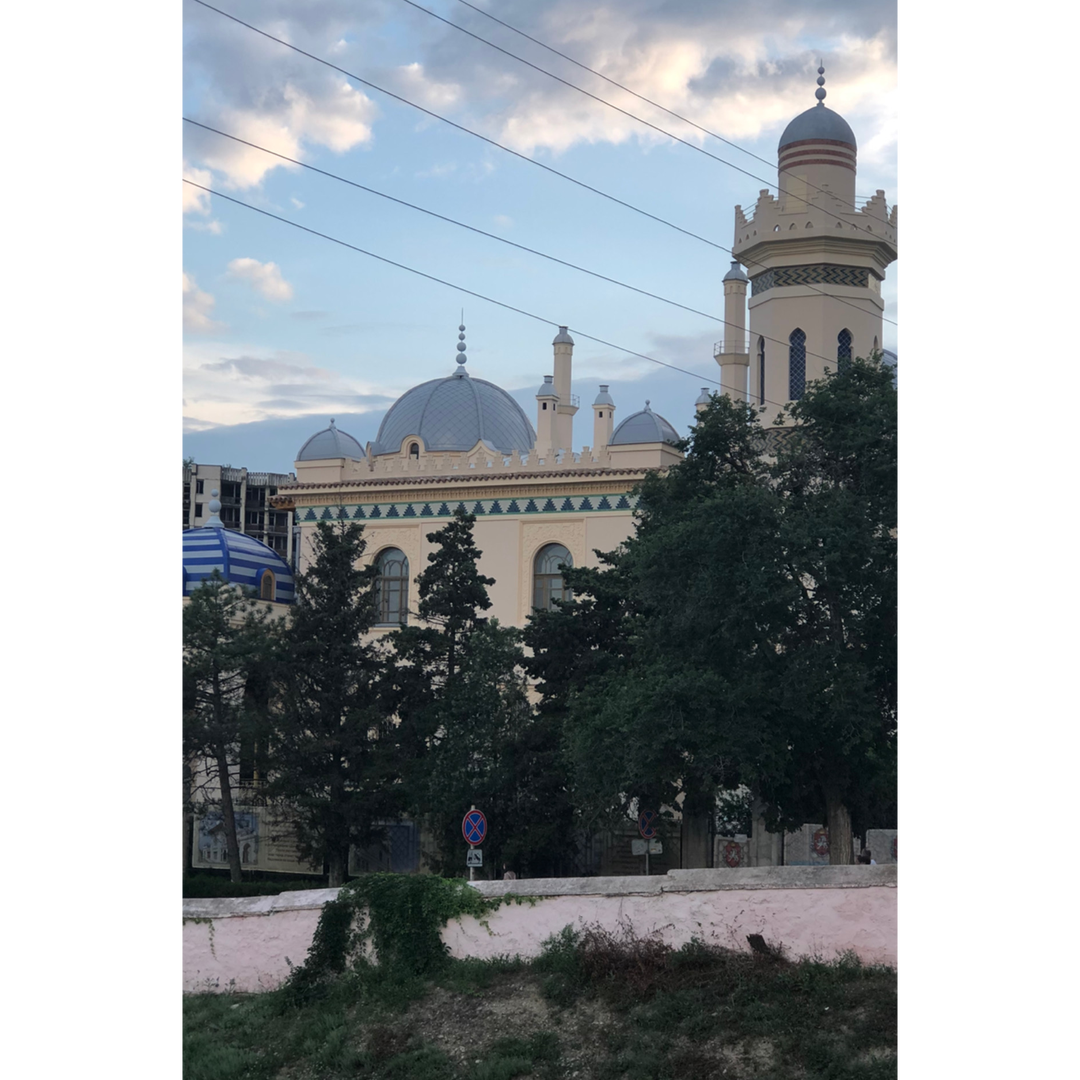 Виктория Агент