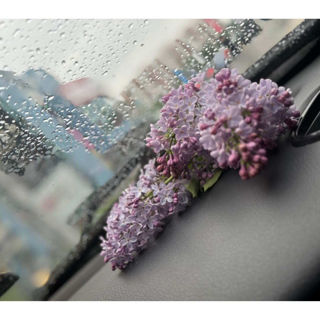 Амина Эминова