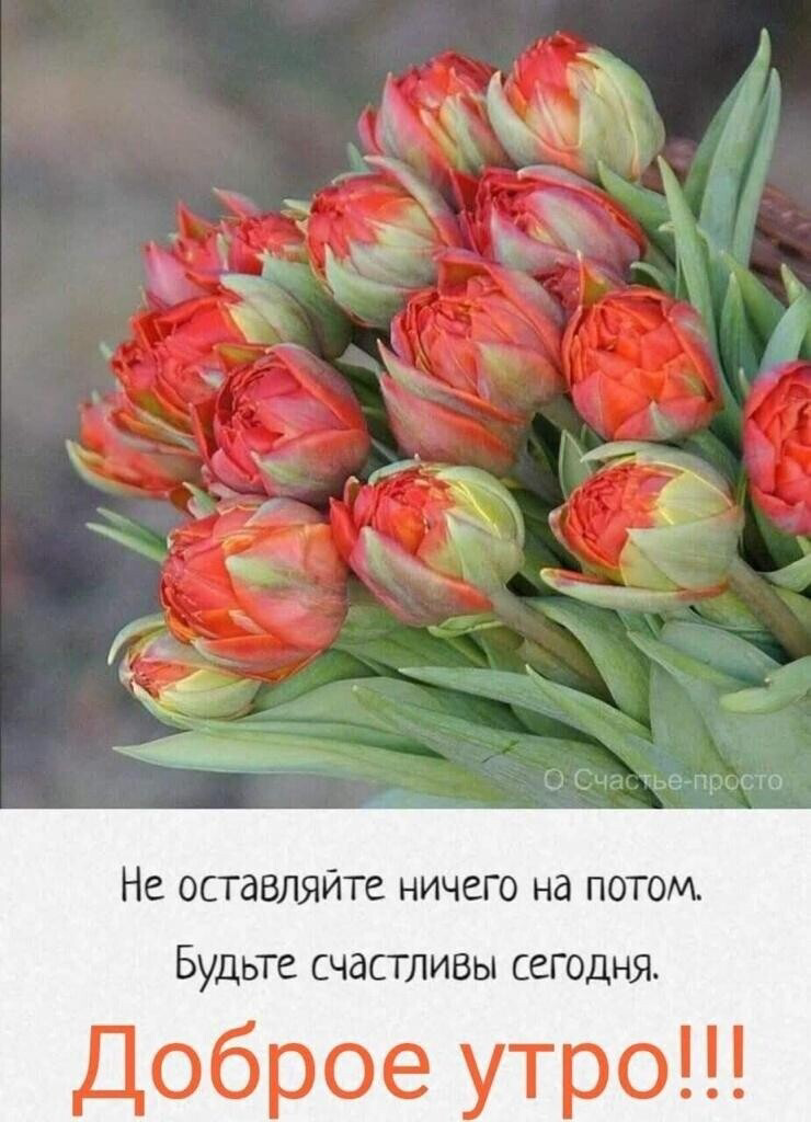 Татьяна Гафарова