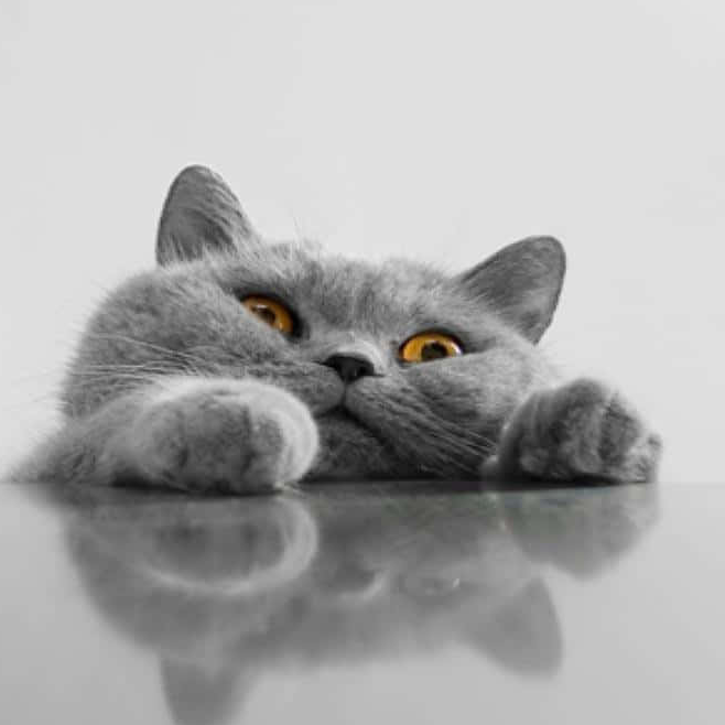 Инна Клевцова