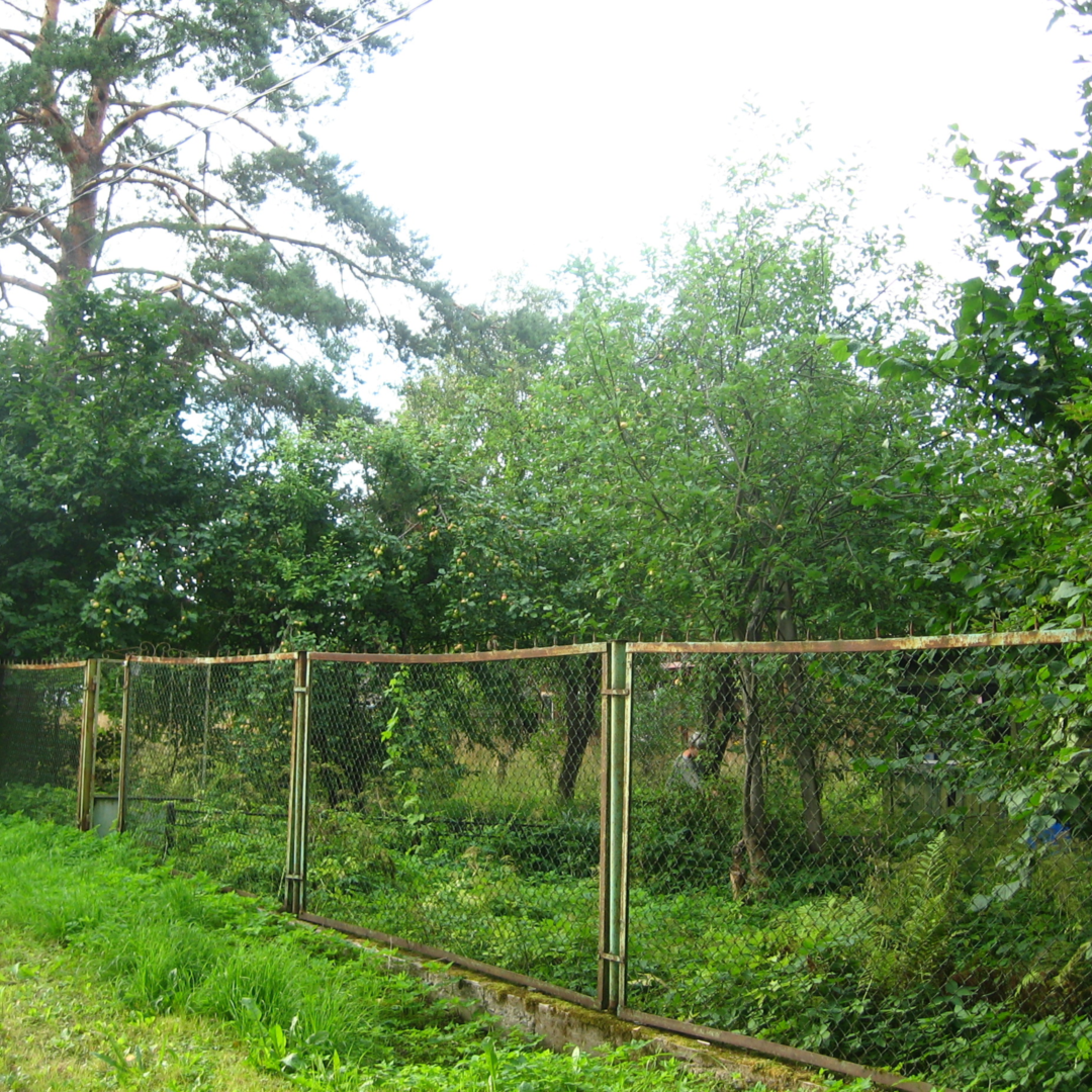 Людмила Петрова