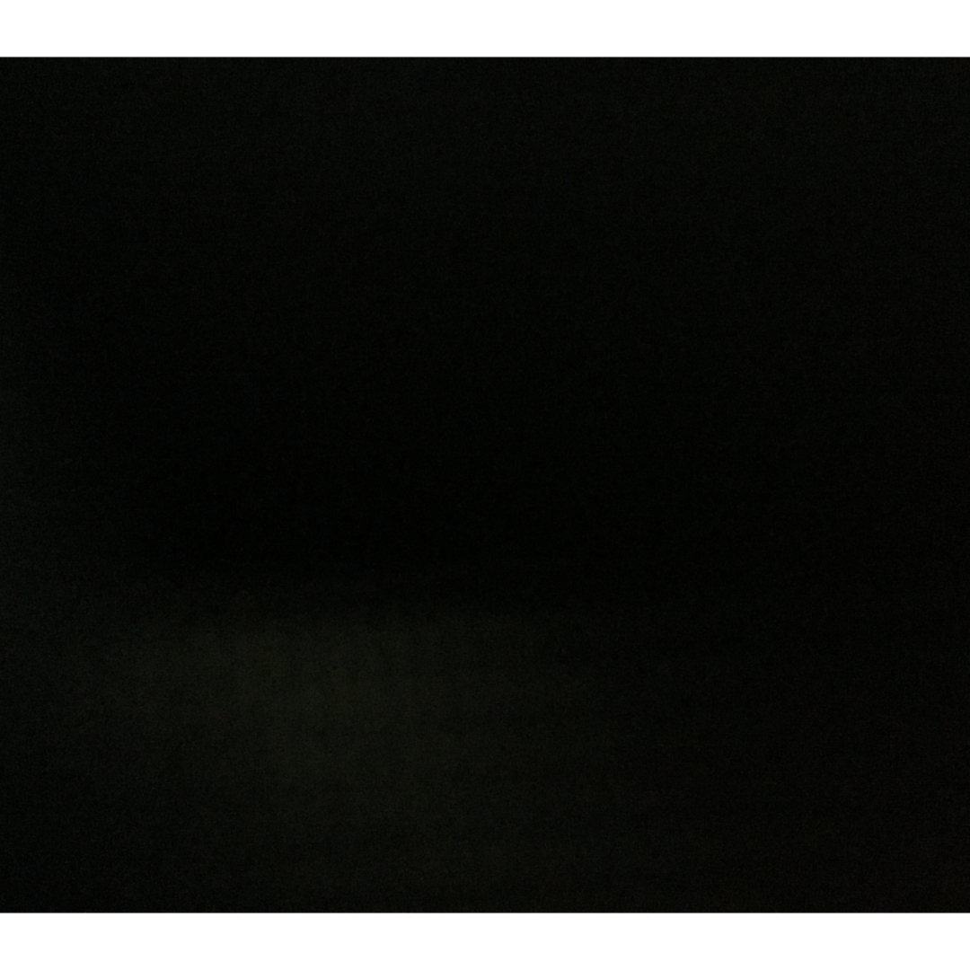 Нафиза Ганская