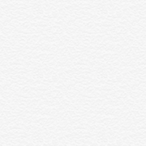 Елена Соловова