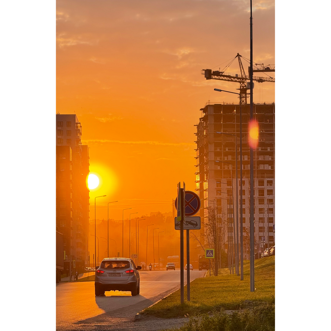 Анастасия Кульчицкая