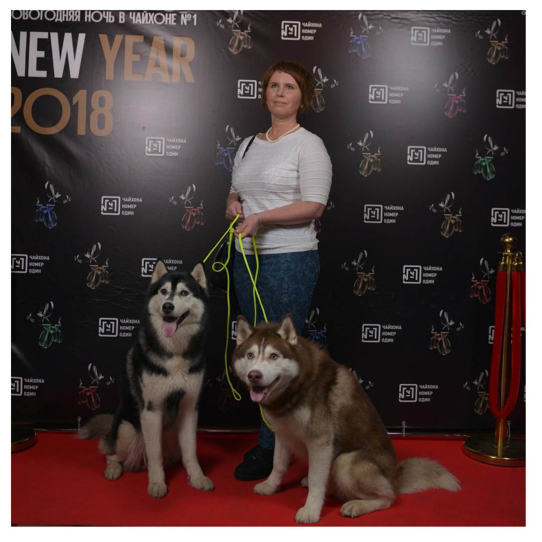 Ирина Андреева