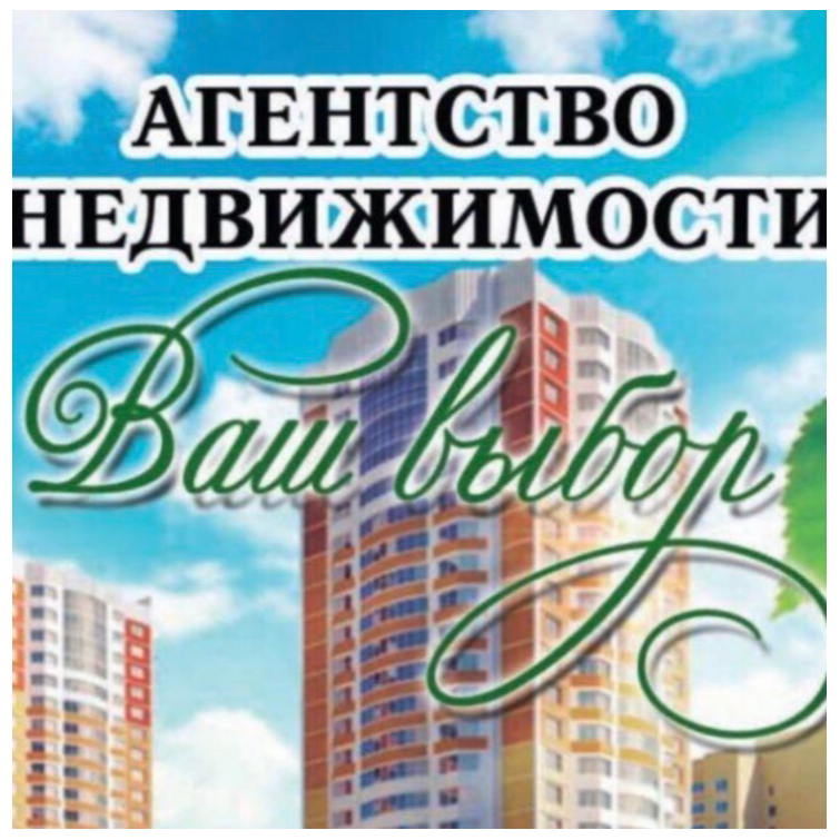 Анастасия Шмелева