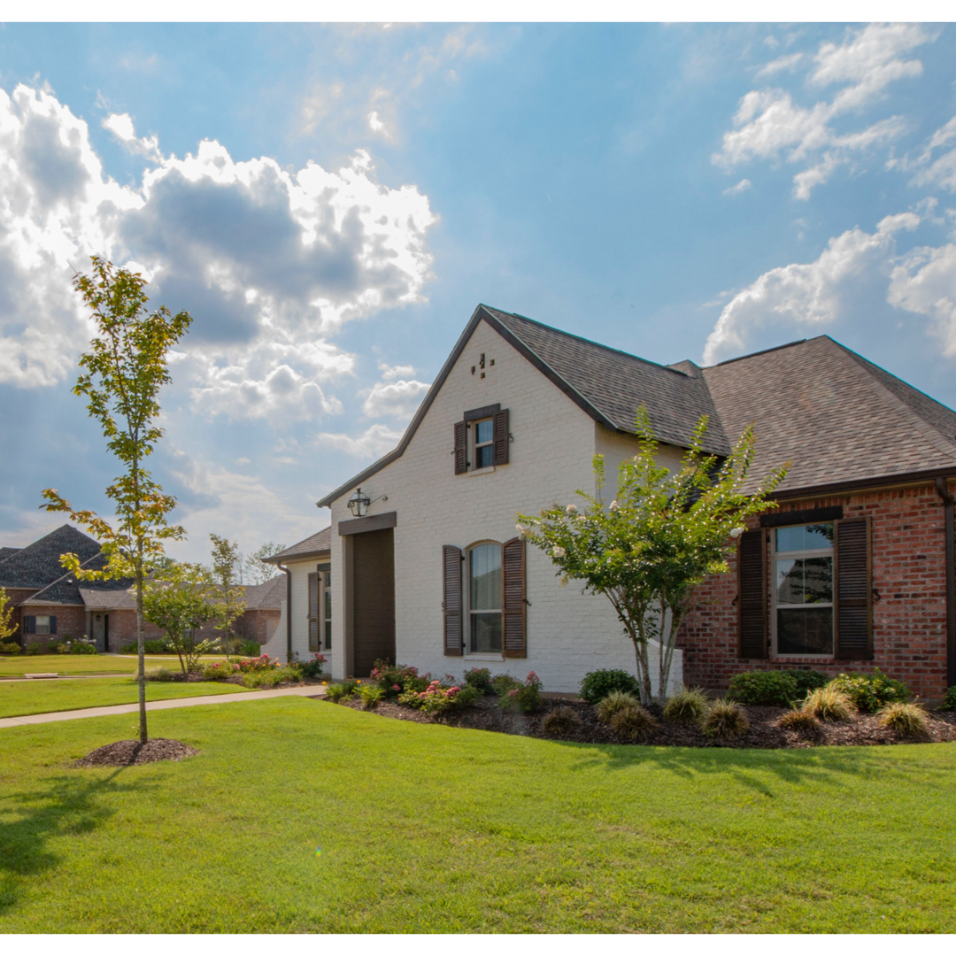 Светлана Вешкурцева