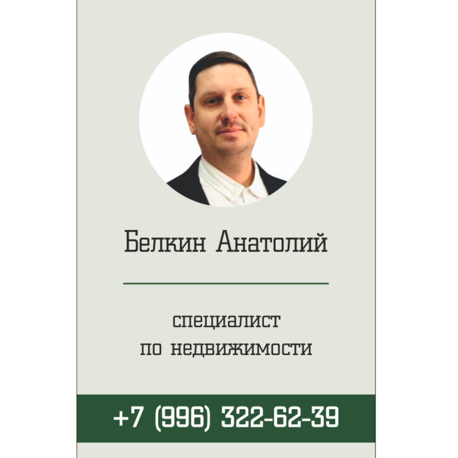 Анатолий Белкин