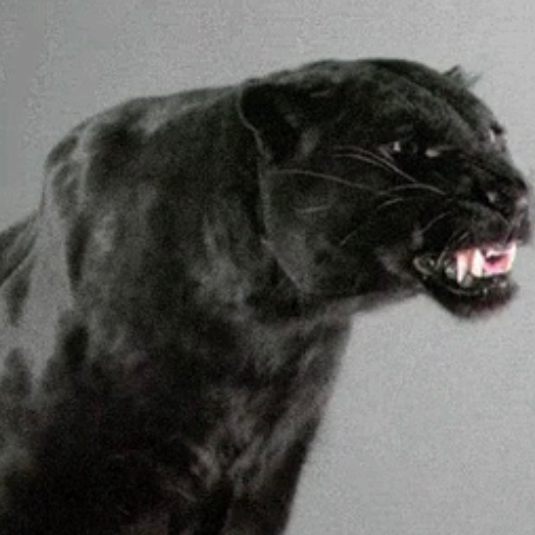 Андрей Астафьев