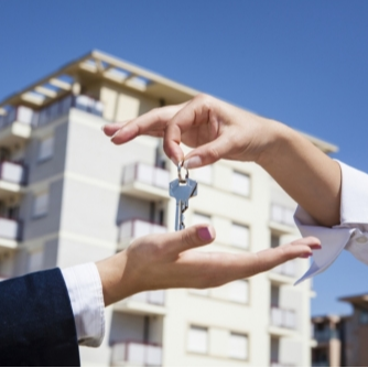 Елена Ласточкина