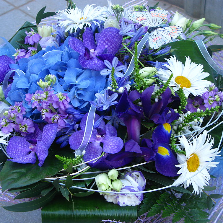 Светлана Лупандина