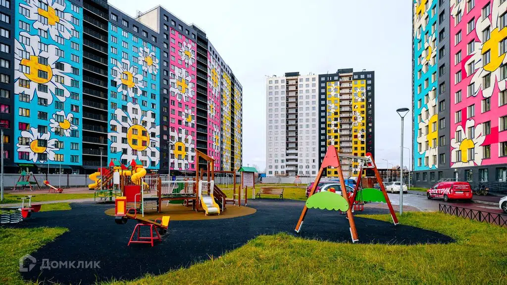 Фото Ромашки