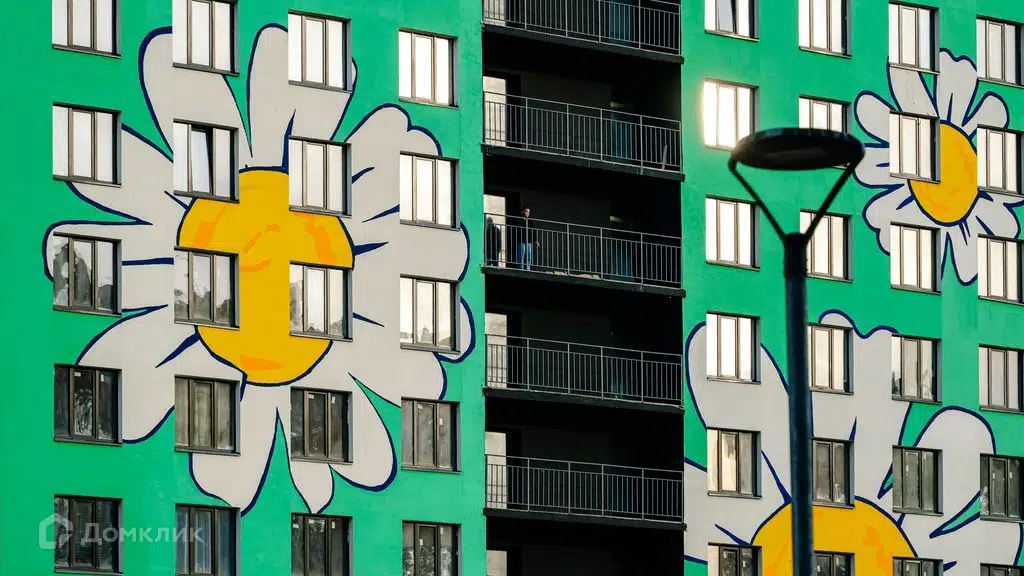 Фото Ромашки