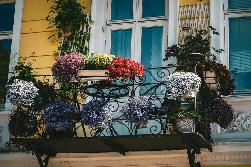Украшение балконов красивыми цветами: фото удачных композиций