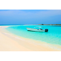 Светлана Полищук