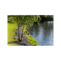 Арина Секачёва