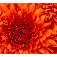 Инна Игнатьева