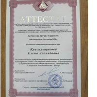 Елена Красильщикова