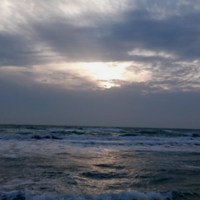 Роман Селиванов