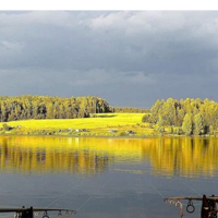 Светлана Завадская