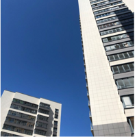 Татьяна Метелева