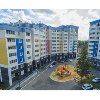 Елена Ильина