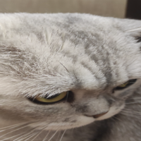 Наиля Вагапова