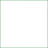 Елена Лобанова