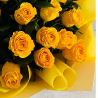 Екатерина Солодухина