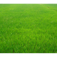 Ольга Таказова