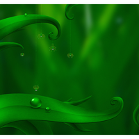 Алла Полищук